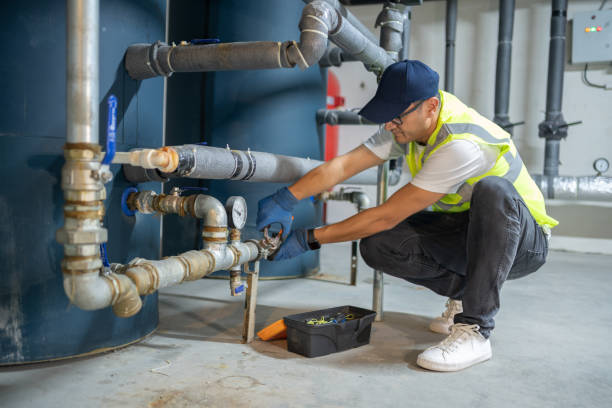 Best Plumbing System Maintenance  in Capac, MI