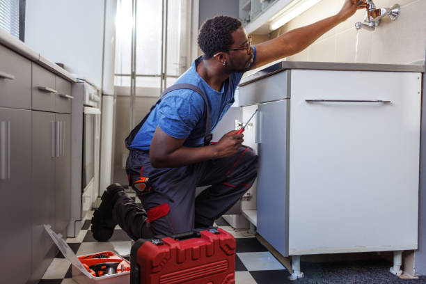 Best Commercial Plumbing Services  in Capac, MI